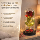 Rosa com LED – Decoração Romântica para Mães e dia dos Namorados
