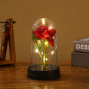 Luminária Cúpula A Bela e A Fera / O Pequeno Príncipe com A Rosa Encantada G Amor Lindo Boutique
