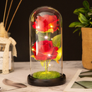Luminária Cúpula A Bela e A Fera / O Pequeno Príncipe com A Rosa Encantada G Amor Lindo Boutique